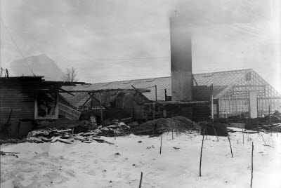 Lindéns handelsträdgård efter branden
