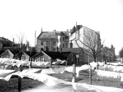 Kattrumpan vid klapphuset. Lakan på tork