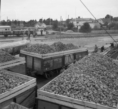 Betlastning i Bergkvara oktober 1954