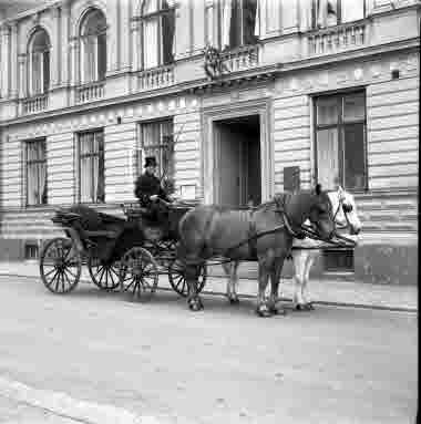 Hästdroska anno 1906 3/6 1956