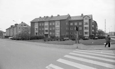 Hälleflundran 1975