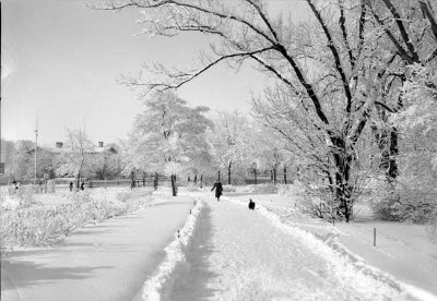 Dryaden Södra vägen vinter