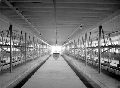 Svartingstorp interiör foderrummet