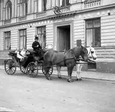 Hästdroska BD 1906 på Södra långgatan. 5/6 1956