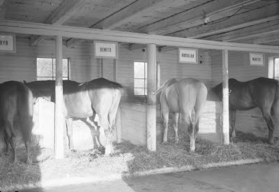 Östen Olsson häststallet Berga by