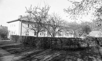 Hus vid Molinsgatan från Gamla kyrkogården kv Valnötsträdet 1975