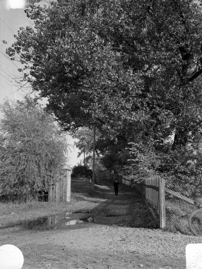 Stora Dammgatan vid Krusenstiernska trädgården 1939