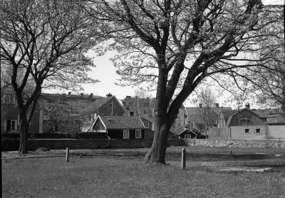 Gamla kyrkogården mot väster 1939
