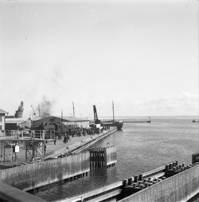 SJ finkor (godsvagnar) upptas ur hamnen 23/4 1958