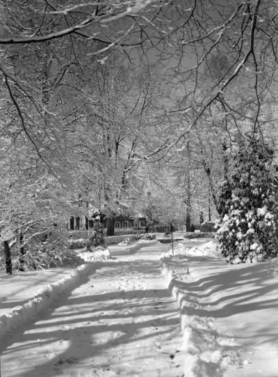 Parti av stadsparken vinter