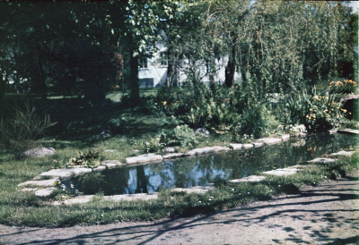 Näckrosdammen vid Rostad 1940