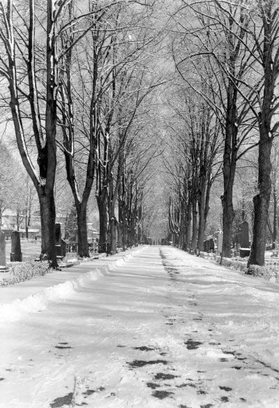 Södra kyrkogården vinter