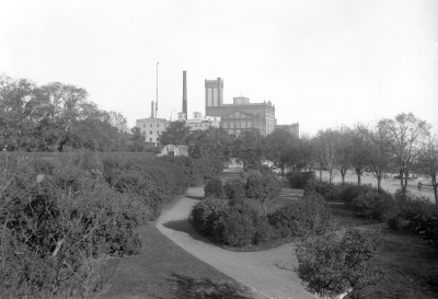 Planteringen utanför Kavaljeren hamnen