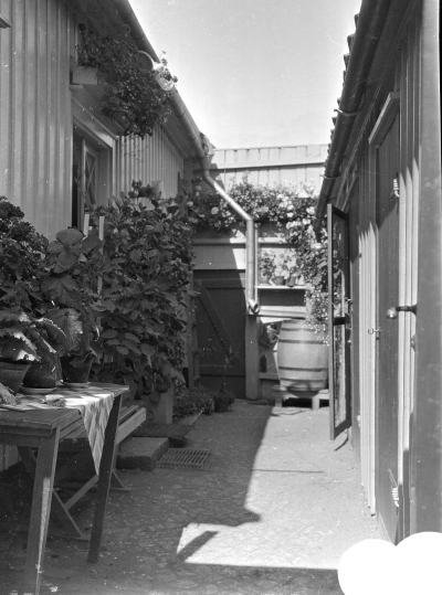 Kattrumpan gårdsinteriör