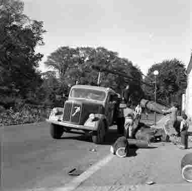 Träd fälles Norra vägen oktober 1954