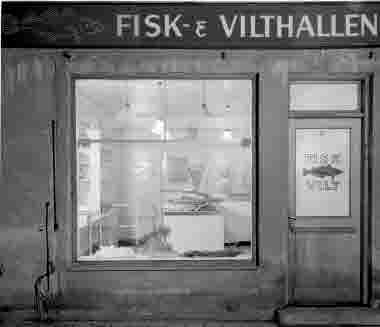 Fisk och vilthallen Södra Långgatan 11