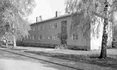 Molinsgatan kv Valnötsträdet 1975