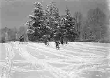 Kalmarsundsparken Danska kullarna vinter