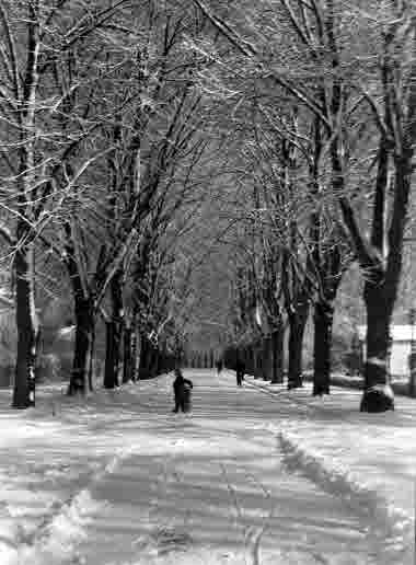 Slottsvägen vinter